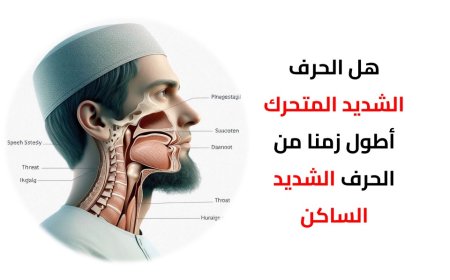 هل الحرف الشديد المتحرك أطول زمنا من الحرف الشديد الساكن