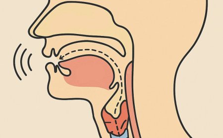 ما الفرق بين جريان وانحباس النفس وجريان وانحباس الصوت؟