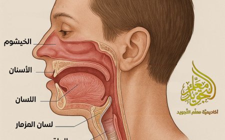 هل مستحقات الحروف العربية تعتبر من الصفات العرضية